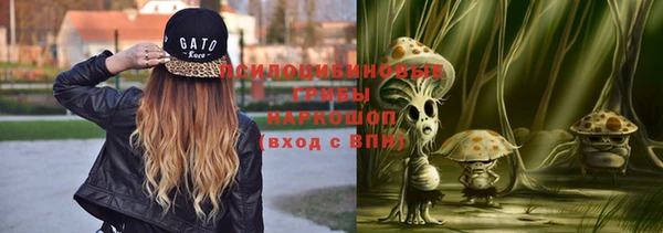 прущие грибы Армянск