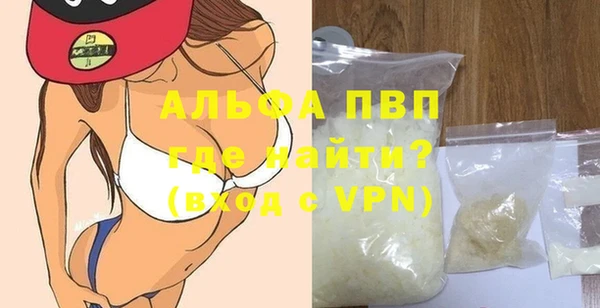 прущие грибы Армянск