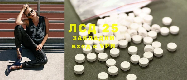 прущие грибы Армянск