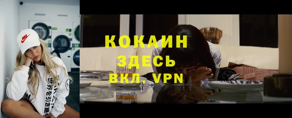 прущие грибы Армянск