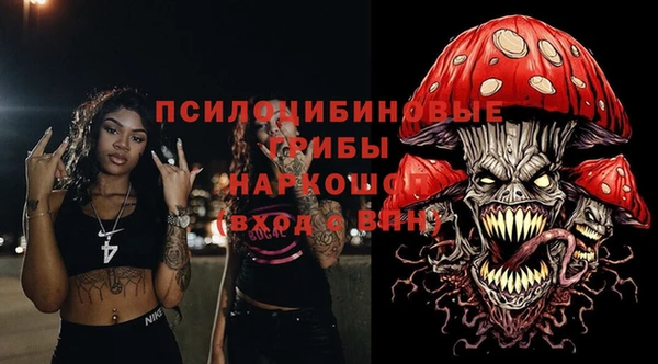 прущие грибы Армянск