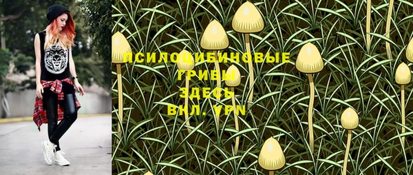 Альфа ПВП Аркадак