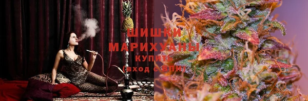 Альфа ПВП Аркадак